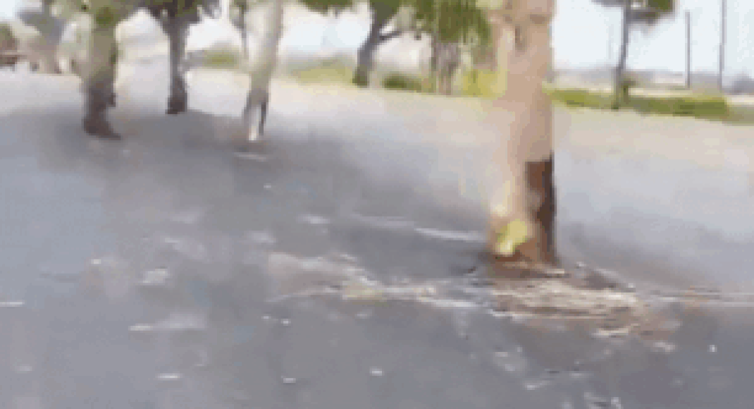 travel-at-your-own-risk:-bihar’s-rs100-crore-road-widened-around-trees-–-watch