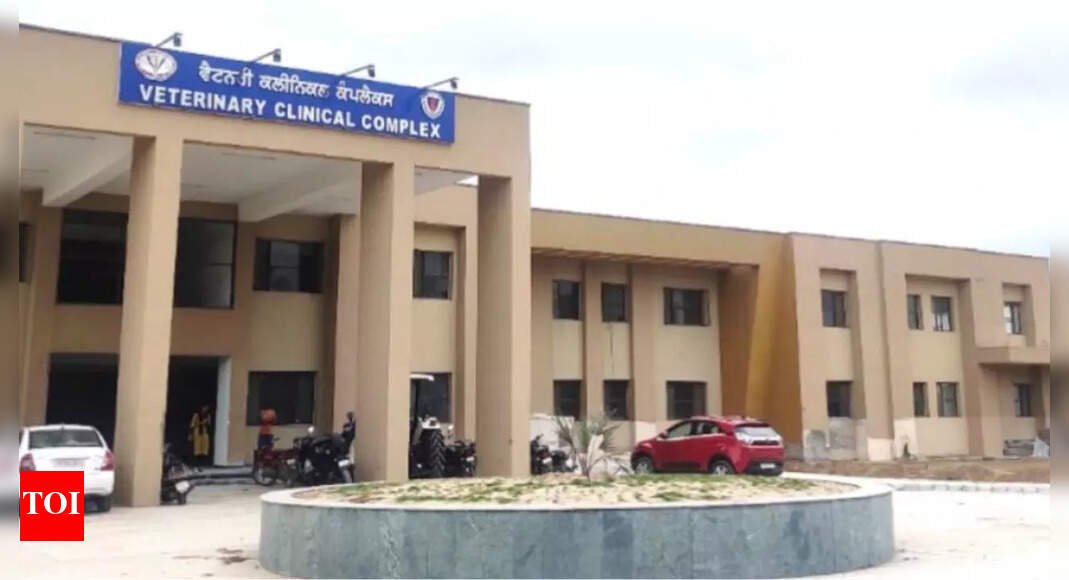 80-vet-graduates-in-limbo:-punjab-council-cancels-registrations-over-college-recognition-issue