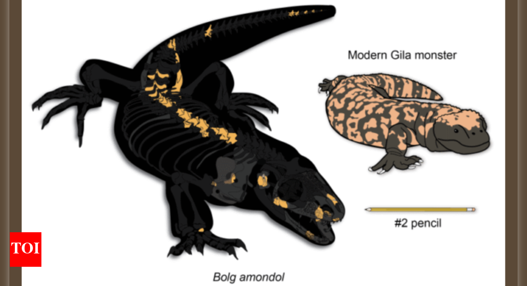 meet-the-goblin-prince:-newly-discovered-dinosaur-era-lizard-looks-like-it-crawled-out-of-a-myth