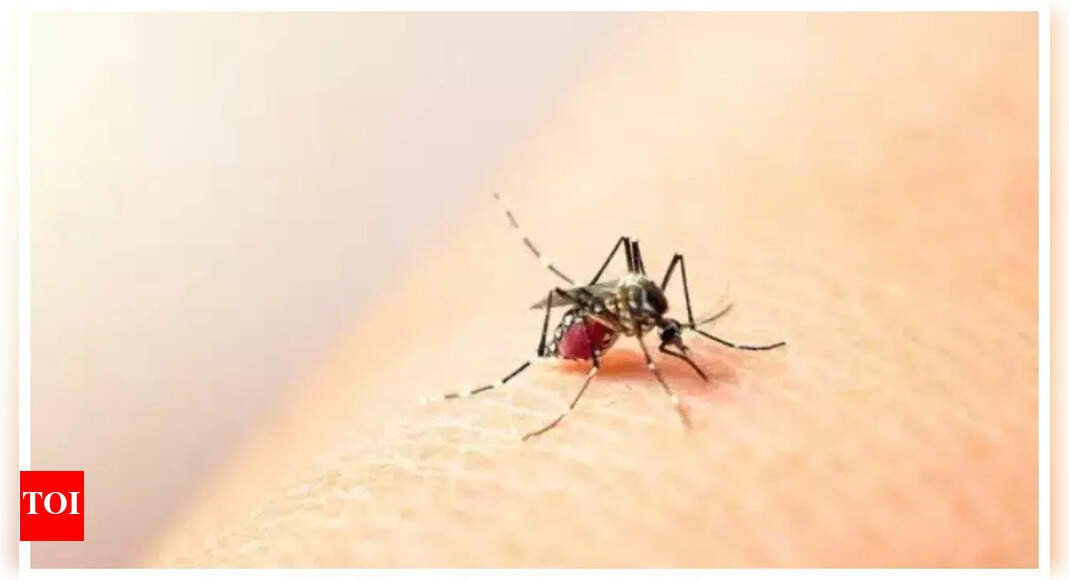 india’s-first-dengue-vaccine-on-the-horizon:-phase-3-trial-enrollment-nears-completion