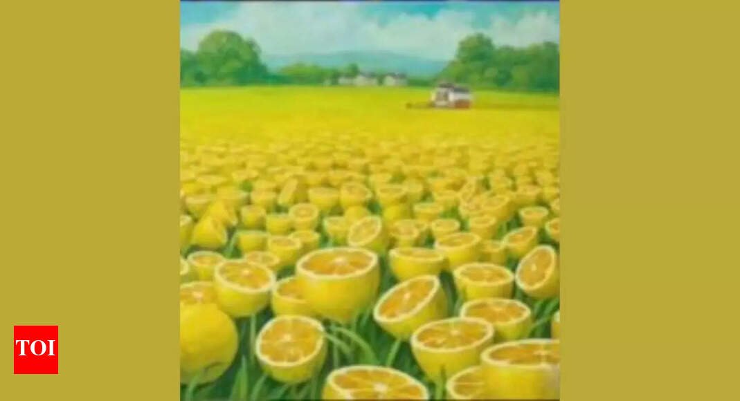 psychology-based-personality-test:-sky,-house,-both-or-lemons?-what-you-see-first-reveals-if-you-are-a-dreamer,-practical,-resilient,-or-easy-going-person