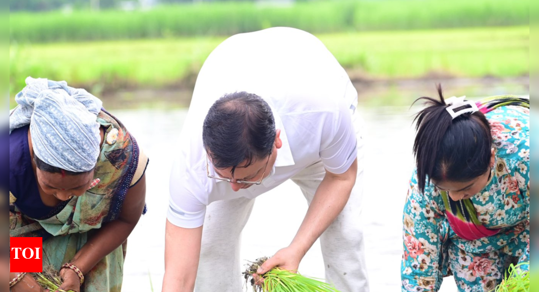 millet-push,-kiwi-boost,-dragon-fruit-drive:-uttarakhand’s-dhami-government-reflects-on-4-years-of-farm-and-horticulture-reforms