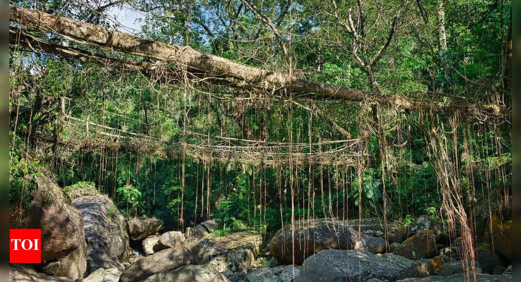 meghalaya’s-monsoon-marvels:-root-bridges,-misty-peaks-&-waterfalls