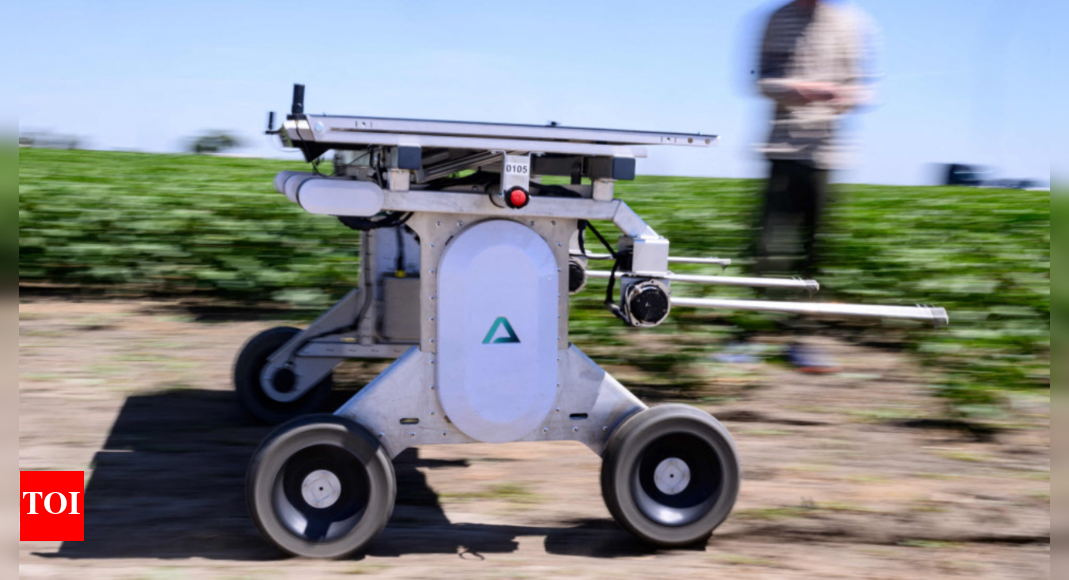 ai-robots-fill-in-for-weed-killers-and-farm-hands