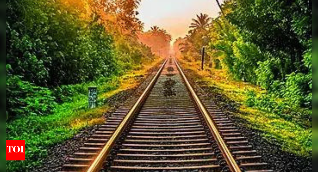 odisha:-for-reel,-12-year-old-lies-on-track-under-passing-train;-rpf-lodges-fir