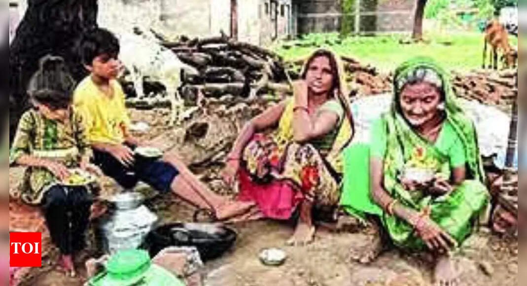 pmay-scheme:-tech-snag-forces-80-year-old-widow-to-live-under-tree-in-madhya-pradesh;-‘they-asked-me-to-raze-house-so-it-won’t-appear-during-site-visit’