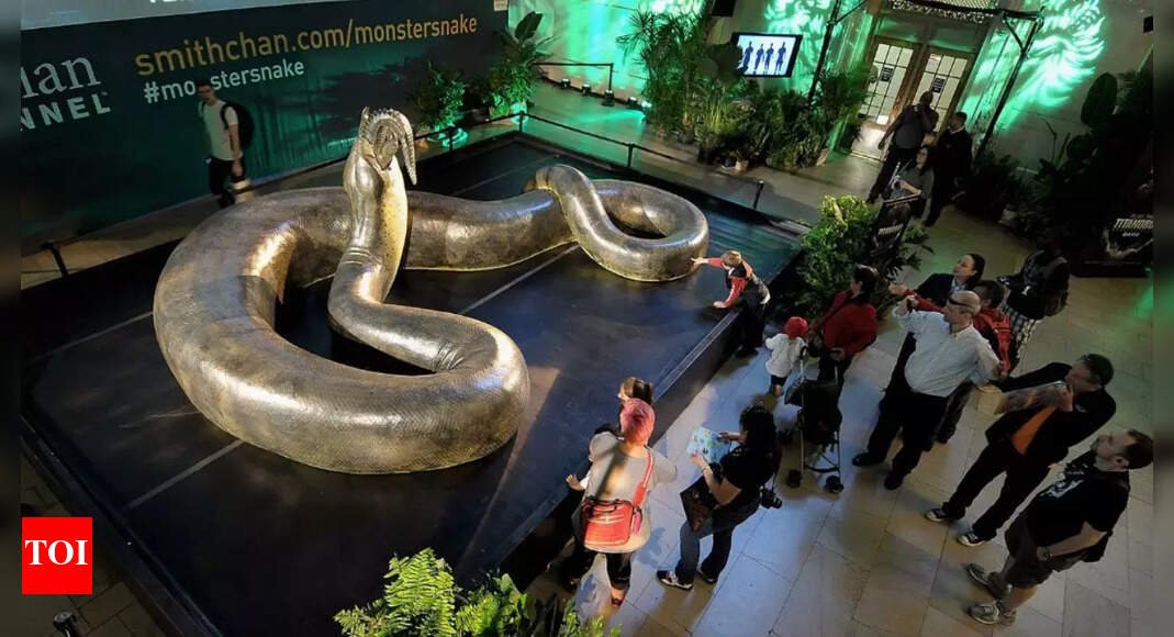 what’s-bigger-than-an-anaconda?-this-58-million-year-old-fossil-may-have-the-answer