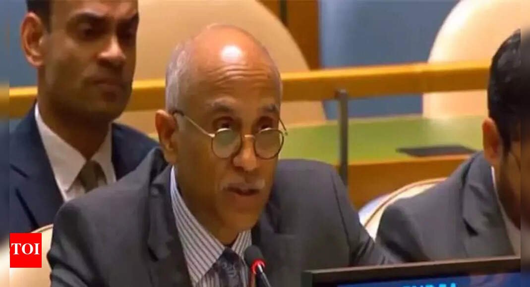 ‘business-like-approach-unlikely-to-succeed’:-india-cautions-unga-over-afghanistan;-abstains-from-voting