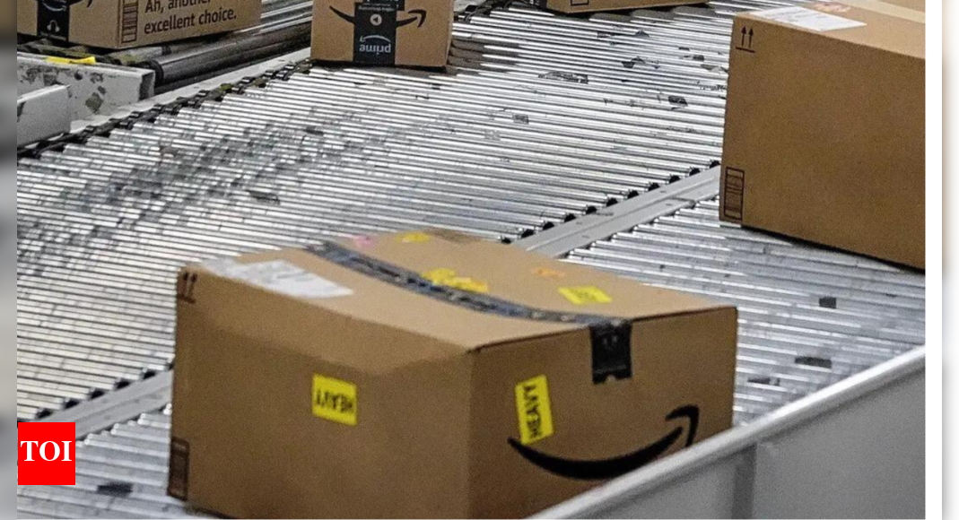 component-of-pulwama-ied-was-ordered-via-amazon:-fatf