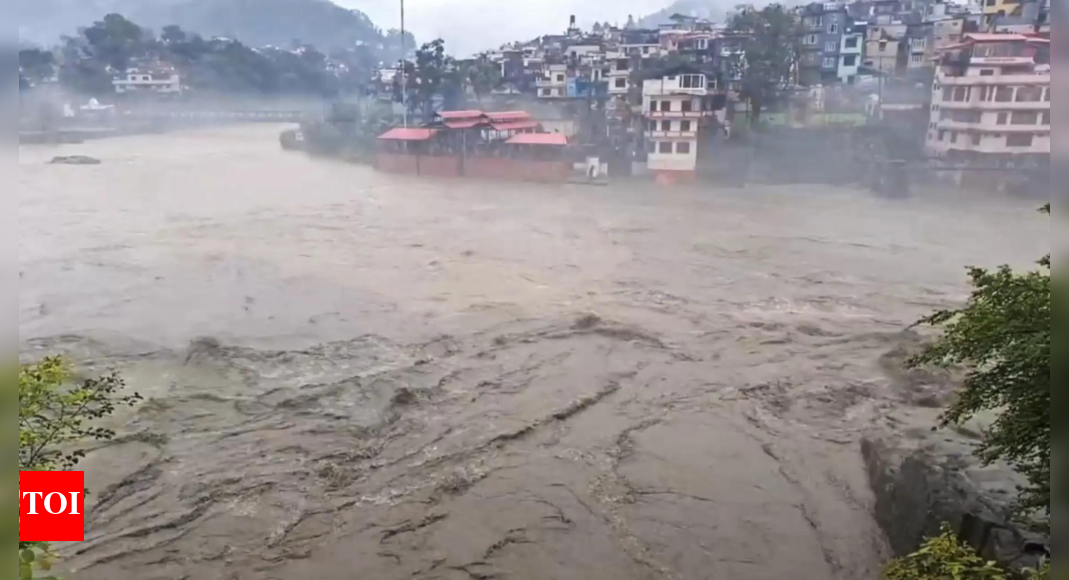 how-a-dog-saved-a-village-in-mandi-amid-flash-floods