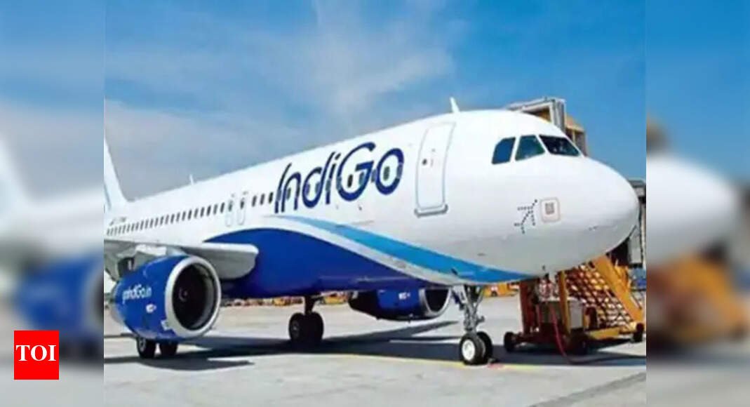 mid-air-scare:-delhi-bound-indigo-flight-hit-by-bird;-makes-emergency-landing-in-patna