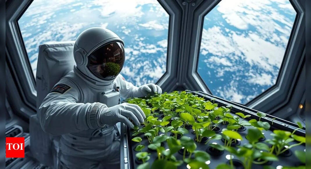 space-farming:-shubhanshu-shukla-grows-methi,-moong-on-iss;-calls-it-‘exciting-and-joyful-work’