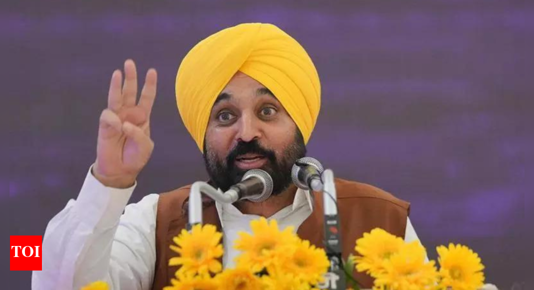 ‘doesn’t-behove-state-authority’:-mea-rebukes-punjab-cm-mann-over-pm-modi-statement;-calls-remarks-‘irresponsible’