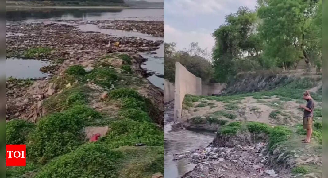 filth-behind-beauty:-polish-tourists-highlight-garbage-near-taj-mahal,-say-‘it-stinks-terribly’