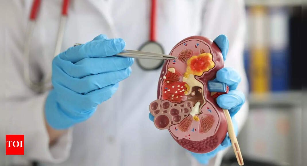 10-everyday-habits-that-could-lead-to-kidney-damage-without-you-knowing