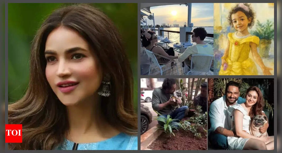 top-entertainment-news:-humaira-ali’s-brother-claims-her-body,-parag-tyagi-plants-trees-for-shefali