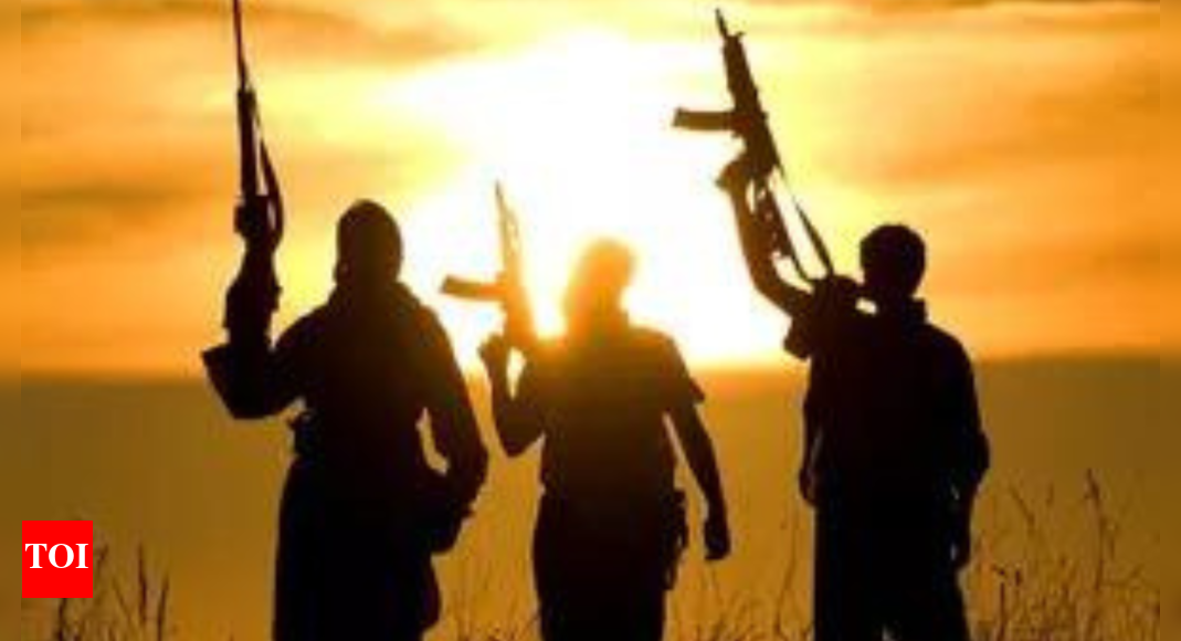 pak-based-terror-groups-could-use-nepal-to-attack-india:-nepalese-official