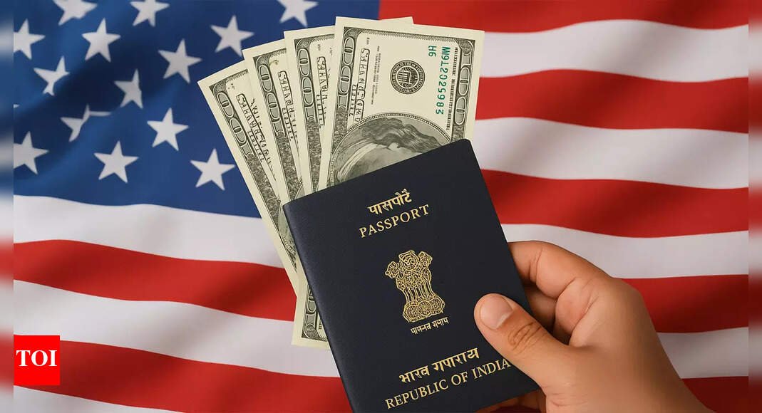 ‘we-will-revoke-their-visas-if-…’:-us-embassy-shares-fresh-updates-on-visa