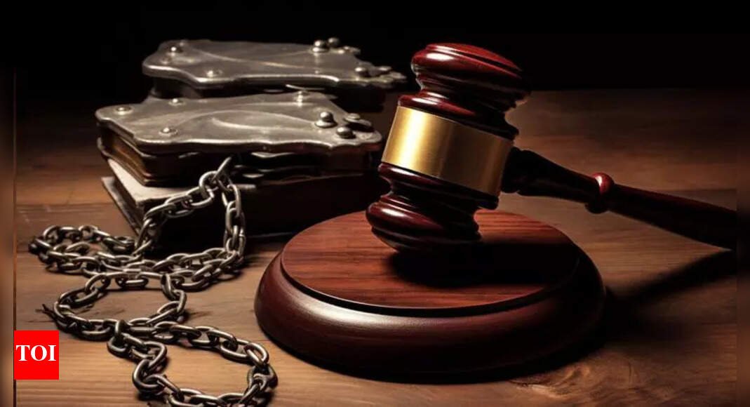 juvenile-gets-20-years-in-2017-gang-rape-case-after-trial-as-adult