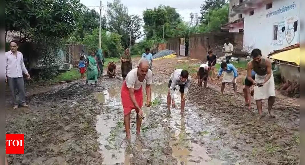 villagers-plant-paddy-on-muddy-road-in-madhya-pradesh-village-to-protest-delay-in-road-construction