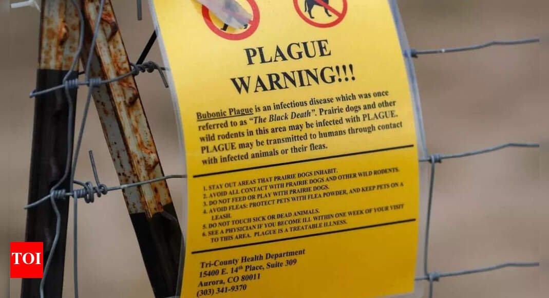arizona-resident-dies-from-pneumonic-plague;-know-about-the-disease