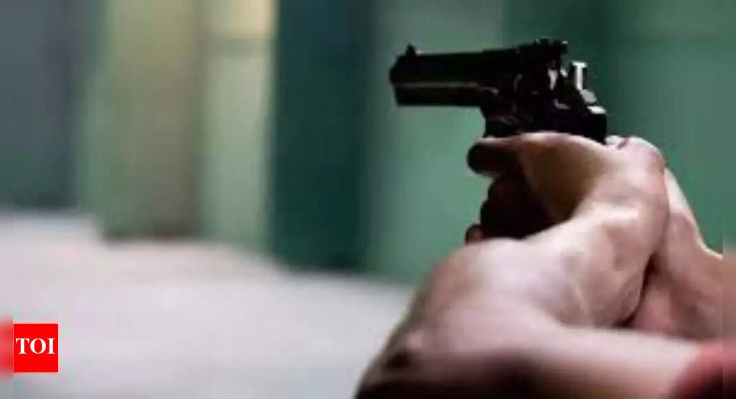 law-&-order-breakdown?-lawyer-killed-in-patna;-series-of-killings-sparks-outrage