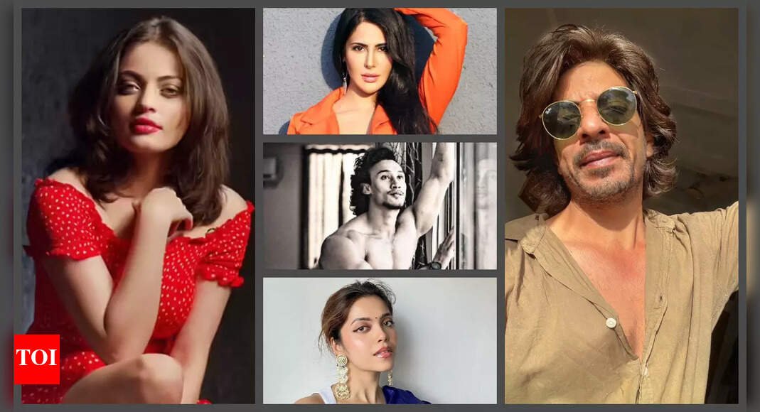 bollywood-lookalikes-who-went-viral:-meet-internet’s-favourite-celebrity-doppelgangers