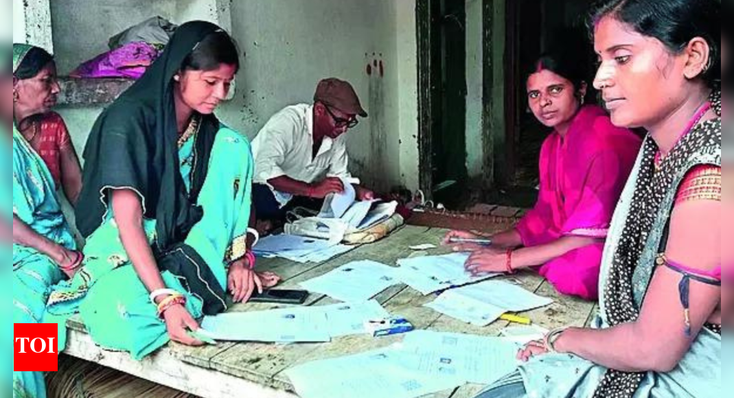 bihar-poll-survey-finding-illegal-immigrants,-say-election-commission-sources
