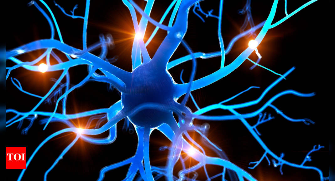 morning-rituals-for-the-nervous-system:-10-minutes-can-change-your-whole-day