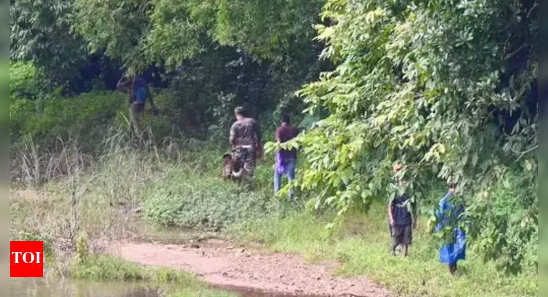 ‘coerced-to-bury-100-bodies’:-sit-finds-15-bones-in-dharmasthala-forest-pit