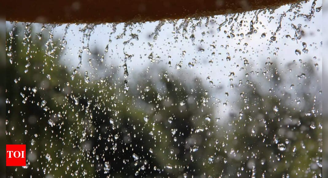 monsoon-garden-woes?-try-these-7-organic-pest-control-tricks-that-actually-work