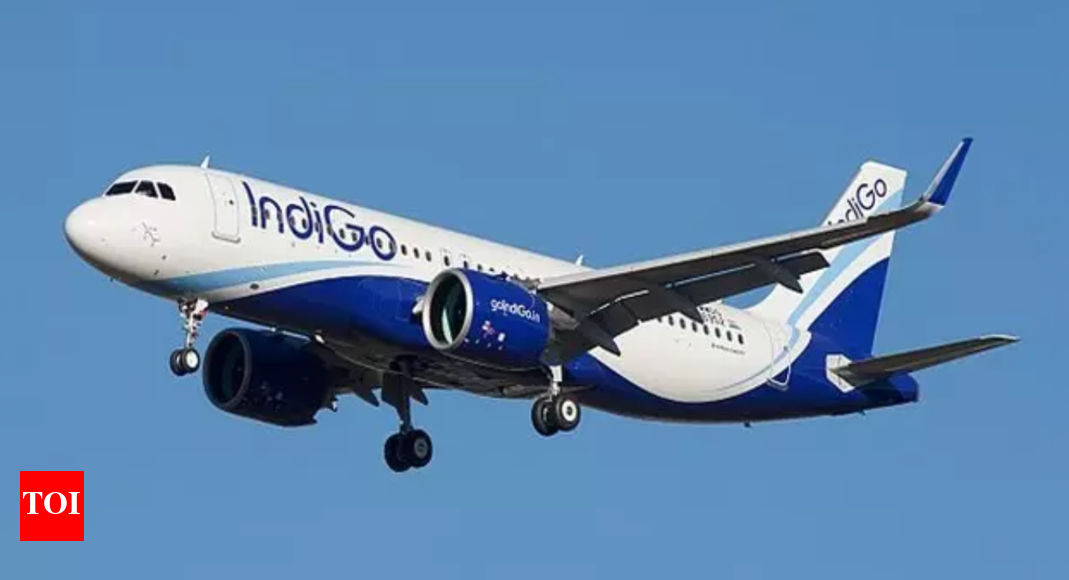 man-slaps-‘nervous’-passenger-on-indigo-flight;-handed-over-to-security-–-video