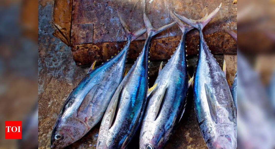 this-is-how-fish-was-traditionally-cleaned