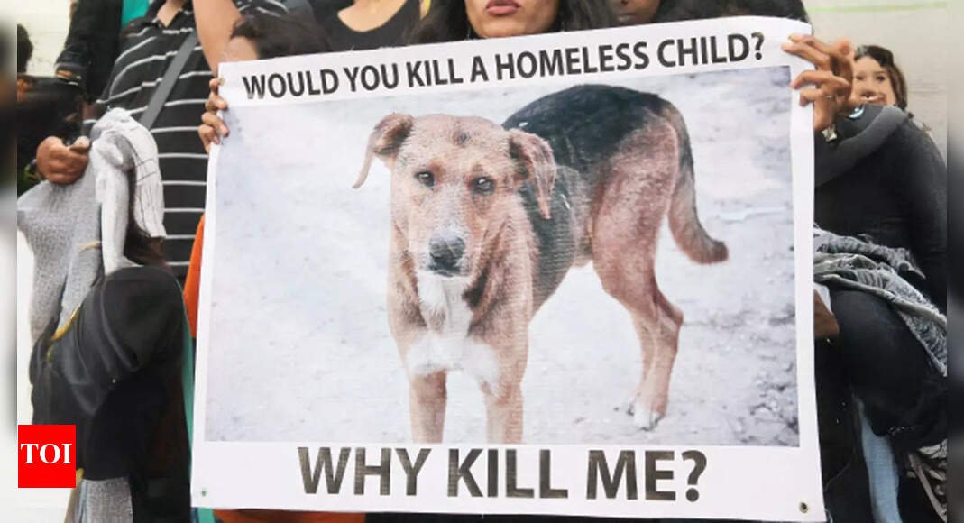 will-kerala’s-plan-to-kill-‘ill’-and-‘dangerous’-stray-dogs-work?