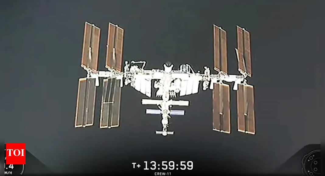 crew-11-mission-docks-on-iss:-what-is-the-purpose-of-this-mission,-and-what-they-are-preparing-for