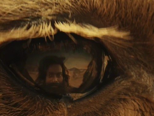 नेशनल-फिल्म-अवॉर्ड-में-पृथ्वीराज-की-फिल्म-नजरअंदाज:जूरी-मेंबर-प्रदीप-नायर-ने-कहा-आशुतोष-गोवारिकर-को-‘द-गोट-लाइफ’-की-एक्टिंग-कहानी-प्रमाणिक-नहीं-लगी