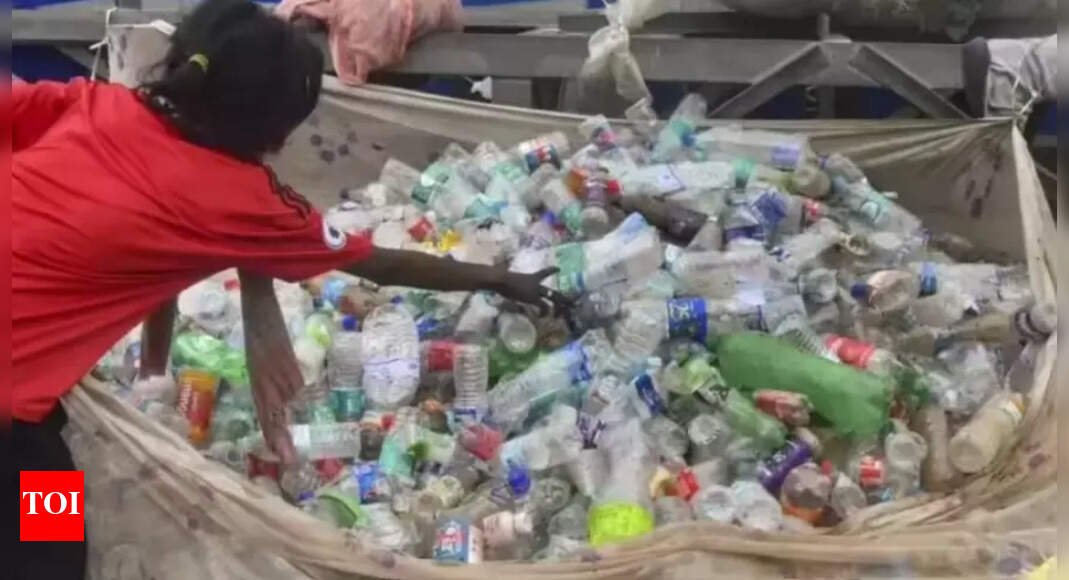 plastic-treaty-shouldn’t-hurt-sustainable-development:-india