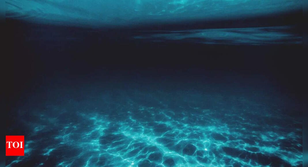 dive-into-the-deep:-life-found-31,000-feet-below-ocean;-creatures-thrive-without-sunlight
