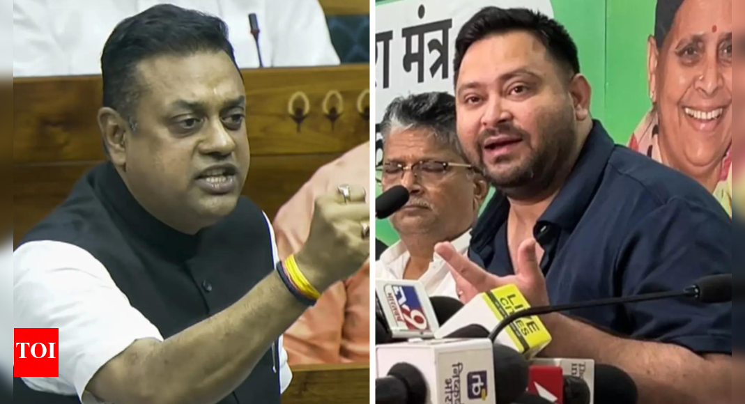 ‘he-had-two-epic-nos’:-bjp-on-tejashwi’s-‘missing-name’-claim;-asks-did-he-have-2-voter-ids?