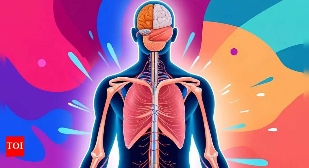 20-or-80,-this-organ-of-the-body-is-(mostly)-immune-to-ageing!
