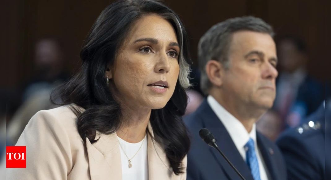russiagate:-tulsi-gabbard-says-russia-believed-hillary-clinton’s-2016-victory-‘inevitable’;-claims-obama-admin-orchestrated-hoax