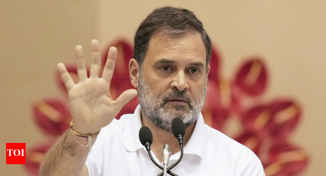 ‘true-indian-won’t-make-such-statement’:-sc-slams-rahul-over-army-remark