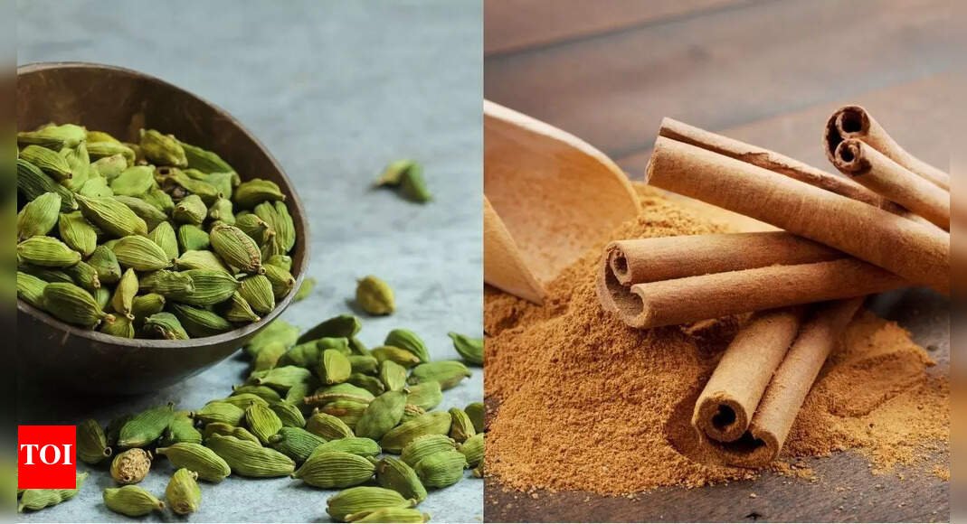 cinnamon-vs-cardamom:-which-spice-is-healthier-and-better-for-your-diet,-blood-sugar,-and-more