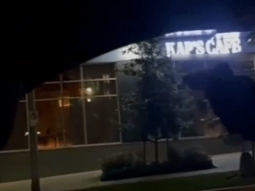 कपिल-शर्मा-बोले-डरने-वाला-नहीं-हूं:कैफे-फायरिंग-पर-कहा-हम-हिंसा-के-खिलाफ-एकजुट-हैं;-खालिस्तानी-आतंकी-ने-कनाडा-में-करवाया-था-हमला