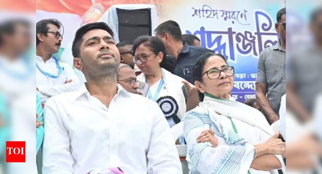 abhishek-banerjee-named-tmc-leader-in-lok-sabha