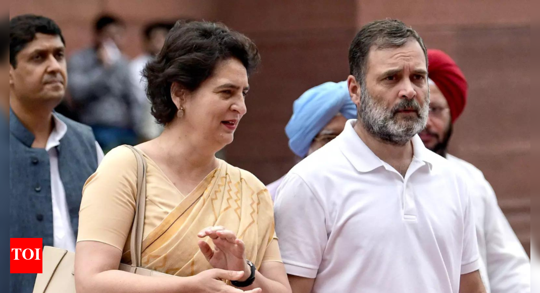 ‘they-don’t-decide-who-a-true-indian-is’:-priyanka-defends-rahul-after-sc-rebuke