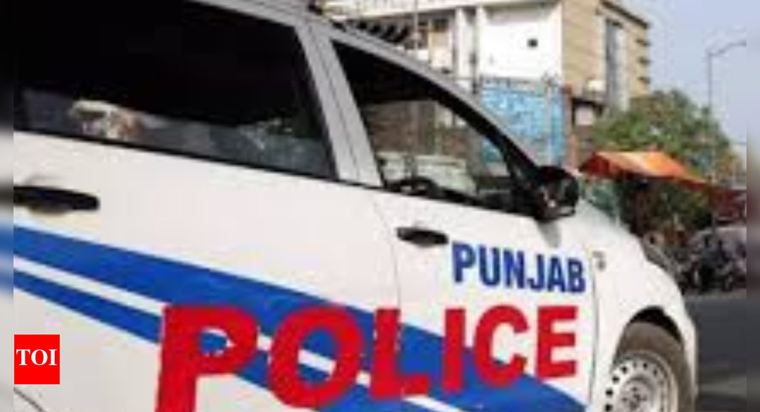 punjab-shocker:-man-arrested-for-abetment-to-suicide-after-wife-ends-life-in-ludhiana