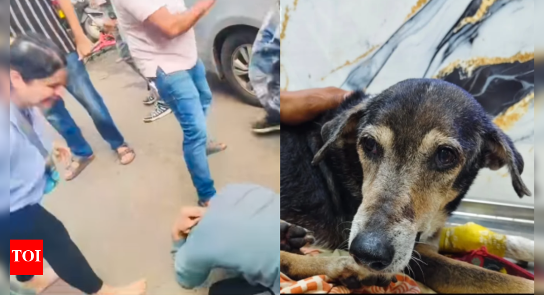 ‘uno-reverse’:-man-beats-elderly-dog-with-stick,-gets-thrashed-by-locals-in-navi-mumbai;-video