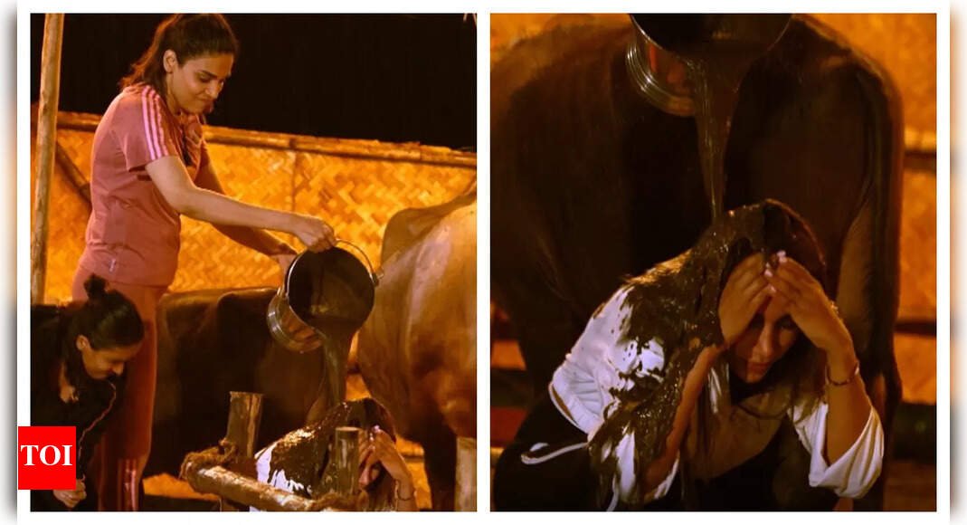 did-anjuum-faakih-actually-dump-a-whole-bucket-of-cow-dung-on-rameet-sandhu-on-chhoriyan-chali-gaon?
