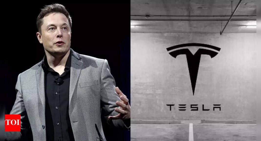 tesla-shareholders-sue-company-and-ceo-elon-musk-over-robotaxi-claims